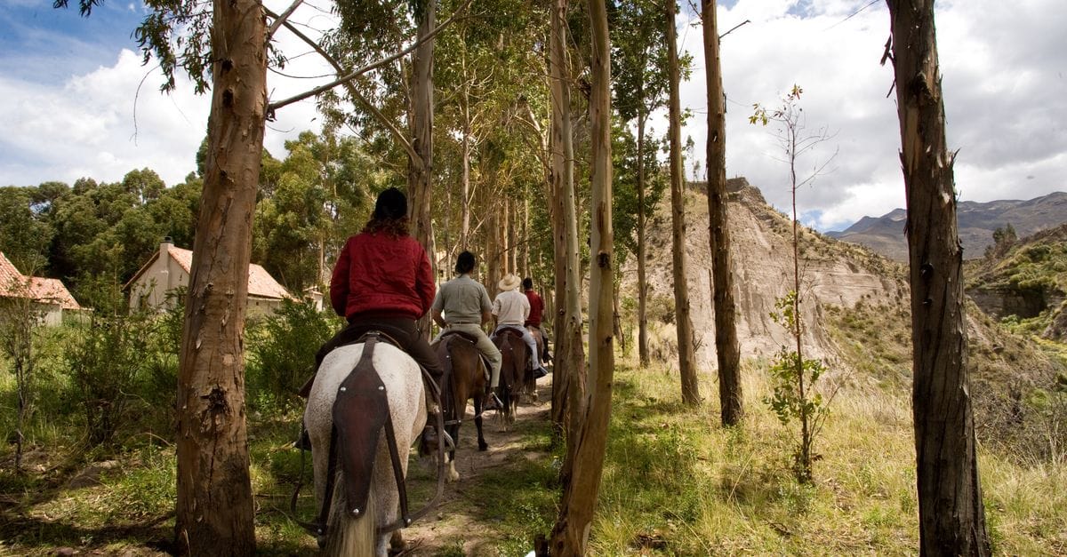 See The World From The Saddle