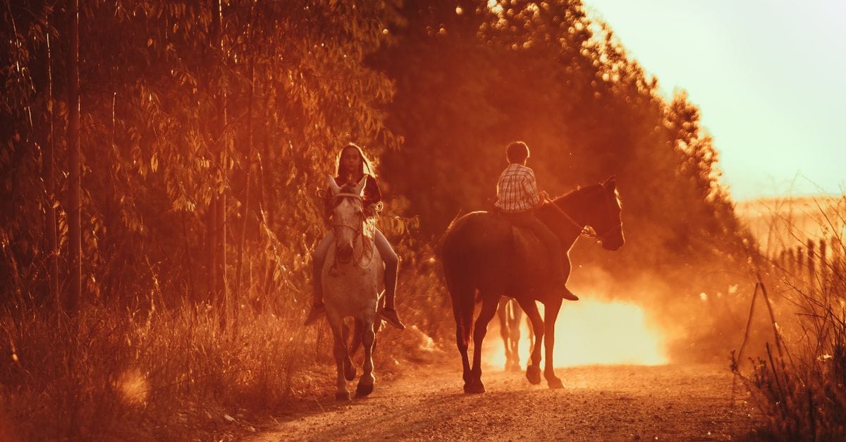 Sunset Trail Experience